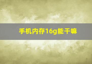 手机内存16g能干嘛