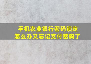 手机农业银行密码锁定怎么办又忘记支付密码了