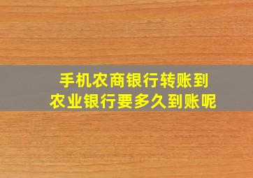 手机农商银行转账到农业银行要多久到账呢