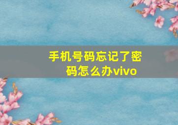 手机号码忘记了密码怎么办vivo