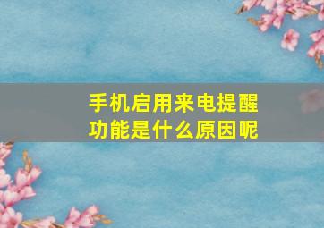 手机启用来电提醒功能是什么原因呢