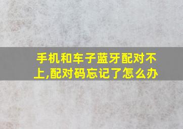 手机和车子蓝牙配对不上,配对码忘记了怎么办