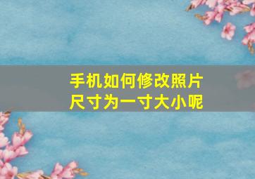 手机如何修改照片尺寸为一寸大小呢