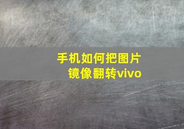 手机如何把图片镜像翻转vivo