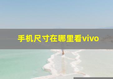 手机尺寸在哪里看vivo