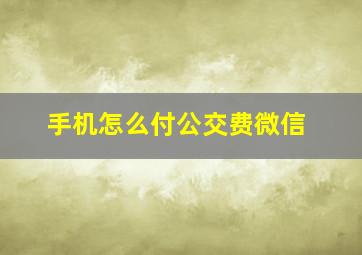 手机怎么付公交费微信