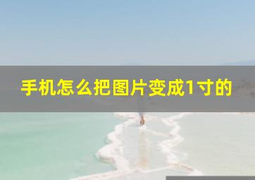 手机怎么把图片变成1寸的