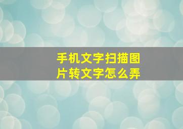 手机文字扫描图片转文字怎么弄