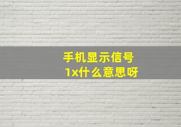 手机显示信号1x什么意思呀