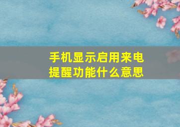 手机显示启用来电提醒功能什么意思