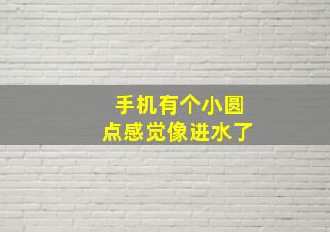 手机有个小圆点感觉像进水了