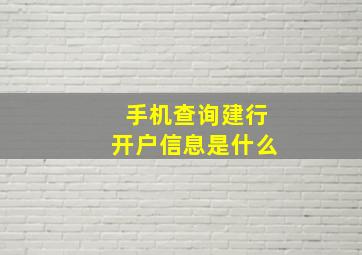 手机查询建行开户信息是什么