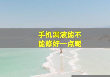 手机漏液能不能修好一点呢