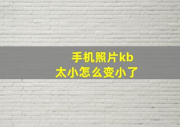 手机照片kb太小怎么变小了