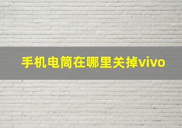 手机电筒在哪里关掉vivo