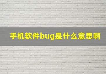 手机软件bug是什么意思啊