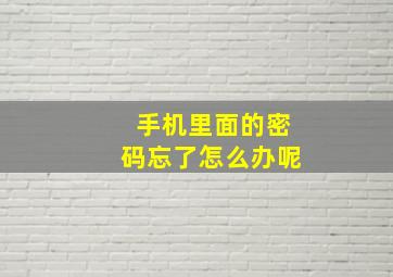 手机里面的密码忘了怎么办呢