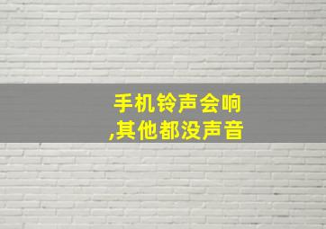 手机铃声会响,其他都没声音