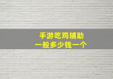 手游吃鸡辅助一般多少钱一个