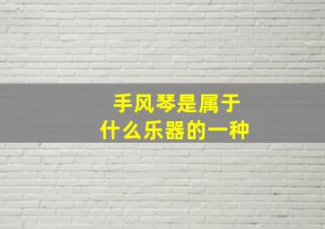 手风琴是属于什么乐器的一种