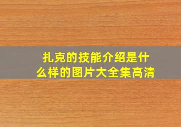 扎克的技能介绍是什么样的图片大全集高清