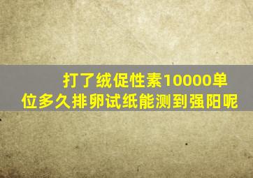 打了绒促性素10000单位多久排卵试纸能测到强阳呢