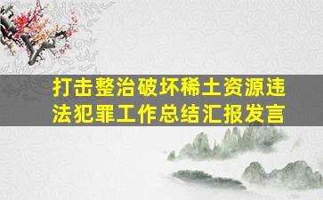 打击整治破坏稀土资源违法犯罪工作总结汇报发言