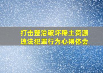 打击整治破坏稀土资源违法犯罪行为心得体会