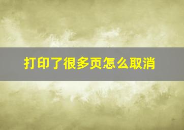 打印了很多页怎么取消