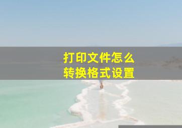 打印文件怎么转换格式设置