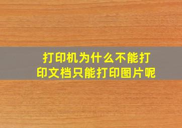 打印机为什么不能打印文档只能打印图片呢