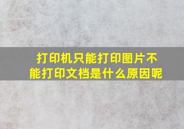 打印机只能打印图片不能打印文档是什么原因呢