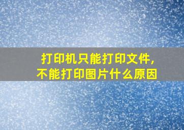 打印机只能打印文件,不能打印图片什么原因