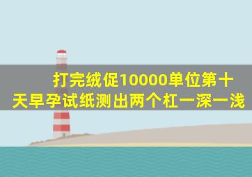 打完绒促10000单位第十天早孕试纸测出两个杠一深一浅