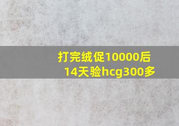 打完绒促10000后14天验hcg300多