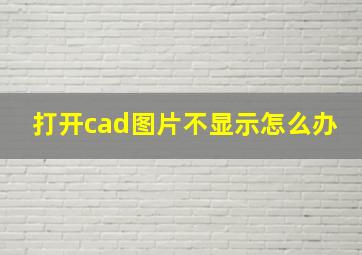 打开cad图片不显示怎么办