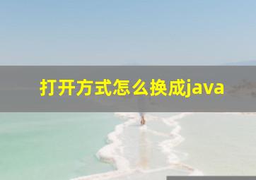 打开方式怎么换成java