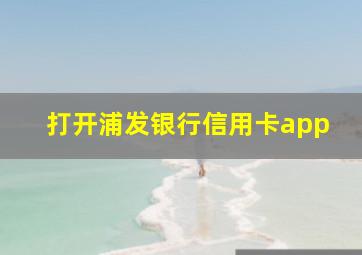 打开浦发银行信用卡app