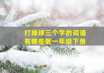 打排球三个字的词语有哪些呢一年级下册