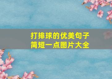 打排球的优美句子简短一点图片大全