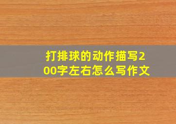 打排球的动作描写200字左右怎么写作文