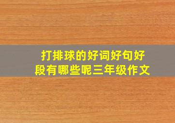 打排球的好词好句好段有哪些呢三年级作文