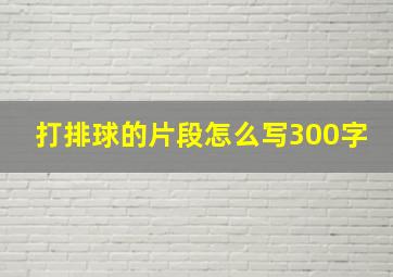 打排球的片段怎么写300字