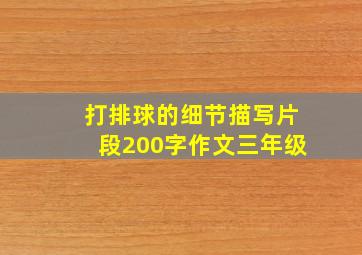 打排球的细节描写片段200字作文三年级