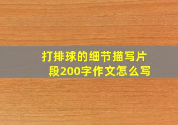 打排球的细节描写片段200字作文怎么写