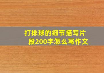 打排球的细节描写片段200字怎么写作文