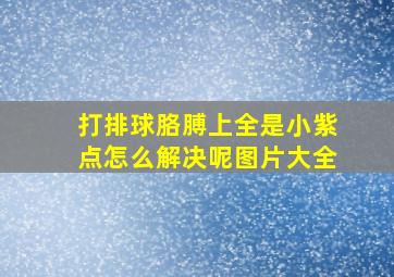 打排球胳膊上全是小紫点怎么解决呢图片大全