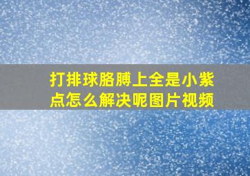 打排球胳膊上全是小紫点怎么解决呢图片视频