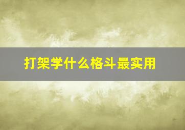 打架学什么格斗最实用