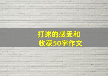 打球的感受和收获50字作文